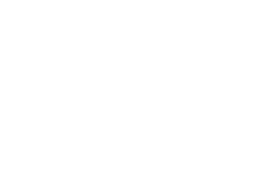 12WELVE STONES HOME HEALTHCARE, LLC